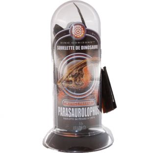 Dino Bullet Squelette De Dinosaure Aspect Fossile - Parasaurolophus