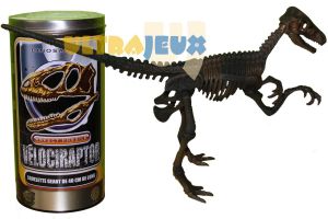 Dino Case Squelette G�ant De 40 Cm - V�lociraptor
