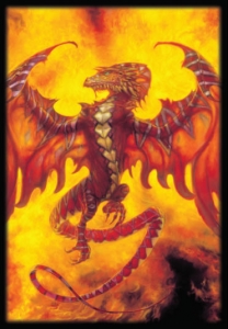 Prot�ges Cartes Format JAP N�o Sleeves - Dragon Phoenix