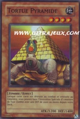 Tortue Pyramide de l'�dition Paquet du Champion 2