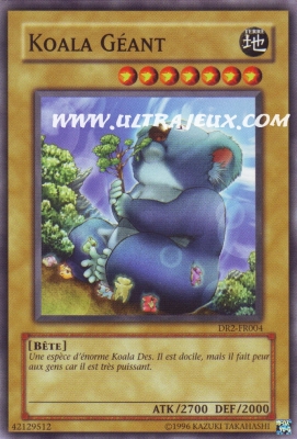 Koala G�ant de l'�dition Sombre R�v�lation 2
