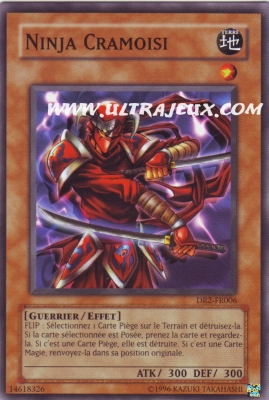 Ninja Cramoisi de l'�dition Sombre R�v�lation 2