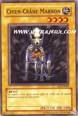 Chien-Cr�ne Marron de l'�dition L'Ame du Duelliste
