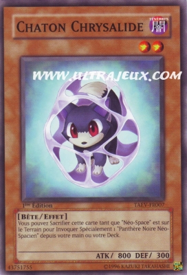 Chaton Chrysalide de l'�dition Evolution Tactique