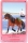 Sokki de l'dition Mythologie