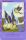 Ara de l'dition Magical Friends