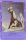 Sleetmane de l'dition Magical Friends