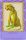 Verdant Liona de l'dition Magical Friends