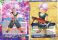 Trunks de l'dition Serie 14 - BT14 - Cross Spirit