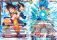 Son Goku et Vegeta & Gogeta SSB, Fusion parfaite de l'dition Serie 6 - B06 - Destroyer Kings