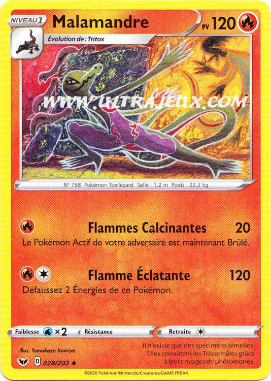 Protèges Cartes Standard Dracaufeu - Par 65 Pokémon - UltraJeux