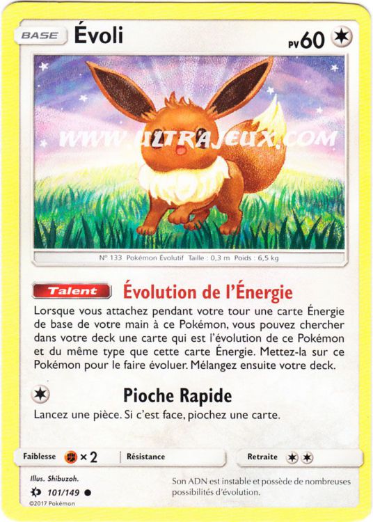 Classeur Carte Pokémon : Évoli & Évolutions