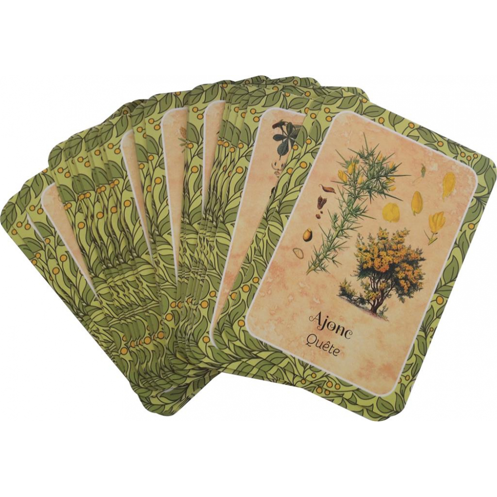 Les cernes du temps - oracle des arbres - cartes - Jeux de Rôle - Jeu