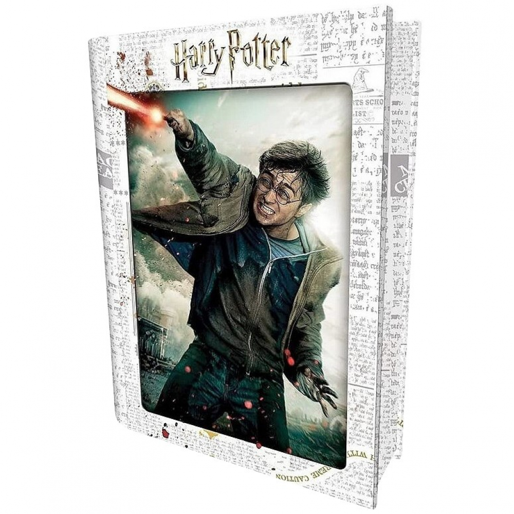 Réfléxion Puzzle Prime 3D - Harry Potter 300 PCS Boîte Métal