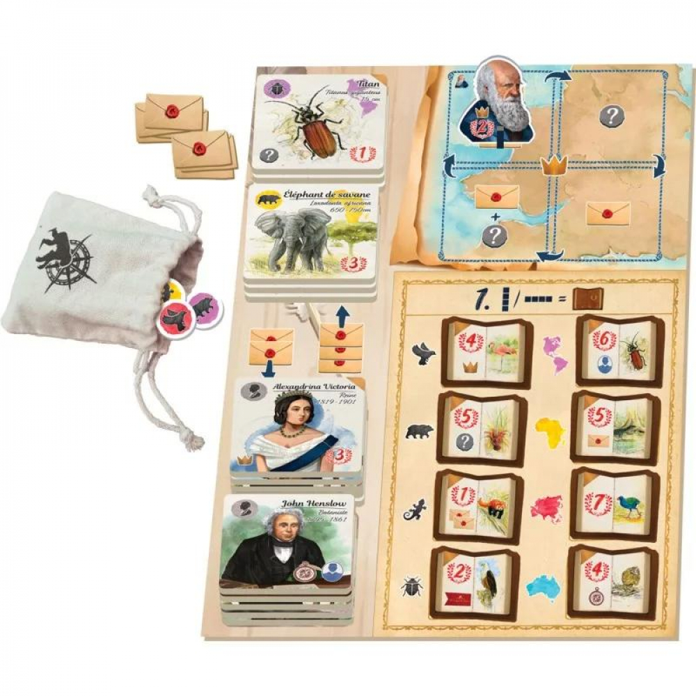 Sur Les Traces De Darwin – Jeu De Société Familial – 8 Ans+ – 30 Minutes – 2 à 5 Joueurs