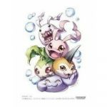 Protges Cartes Standard Digimon Card Game Bb Digimon - Par 60