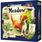 Stratgie Rflexion Meadow