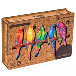 Rflxion Placement Figured Wooden Puzzles - Parrots (S)