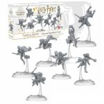 Boite de Harry Potter - Catch the Snitch, extension National Quidditch Team