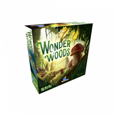 Jeu Enfant Dduction Wonder Woods