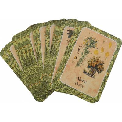 Jeu de Rle Jeu de Rle Les cernes du temps - oracle des arbres - cartes