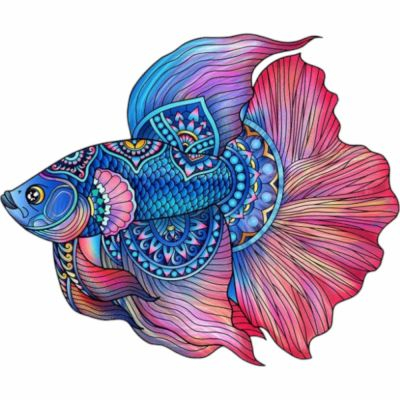 Rflxion Placement Rainbow - Puzzle en Bois - Poisson