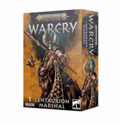 Figurine Best-Seller Warhammer Age of Sigmar - Warcry : Centurion Marshal