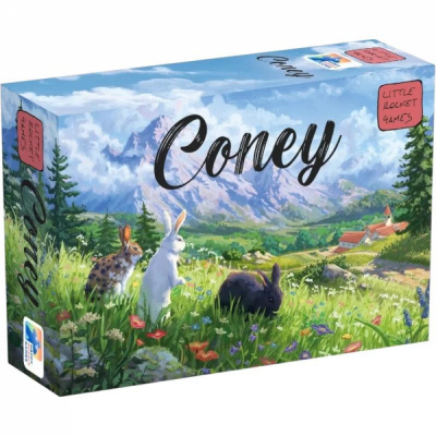 Jeu de Cartes Initi Coney