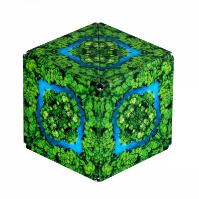 Casse-t�te R�flexion Shashibo Jungle